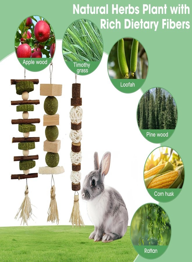 WDEFUN 3 PCS Bunny Chew Toys, Natural Hanging Rabbit Chew Toy Treats for Guinea Pigs Hamsters Gerbils Chinchilla and Other Small Pets for Teeth Grinding - Image 3